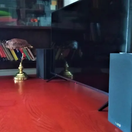 D'or * ボローニャ